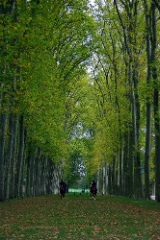 Versailles Horsemen.jpg